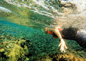 Safari Sea Beach: แก่งกระจาน ประจวบ ชุมพร