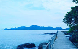 Suratthani Around 4วัน3คืน รอบสุราษฯ