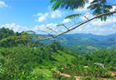 3 วัน 2 คืน: Fog, Negative Ion and Hills