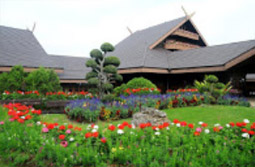 Tea Plantations ไร่ชาหัวใจของทัวร์เชียงราย