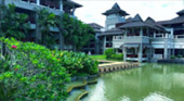 Tea Plantations ไร่ชาหัวใจของทัวร์เชียงราย