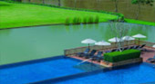Tea Plantations ไร่ชาหัวใจของทัวร์เชียงราย