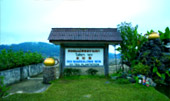 Tea Plantations ไร่ชาหัวใจของทัวร์เชียงราย
