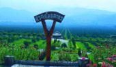 ChiangMai by Design