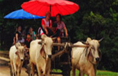 Activities Day เชียงใหม่