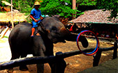Activities Day เชียงใหม่