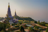 Cold Forest: เดินป่า ชมกิ่วแม่ปาน
