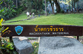Cold Forest: เดินป่า ชมกิ่วแม่ปาน