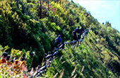 Cold Forest: เดินป่า ชมกิ่วแม่ปาน