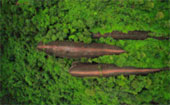 Earth Evidence : บึงกาฬ นครพนม สกล