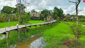 South Pioneer: สำรวจแดนใต้