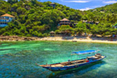 On Hidden Beaches ดำน้ำจากริมหาดเกาะเต่า Deep Inside: เกาะเต่า ดำน้ำตื้น รอบบ่าย