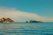 On Hidden Beaches ดำน้ำจากริมหาดเกาะเต่า Deep Inside: เกาะเต่า ดำน้ำตื้น รอบบ่าย