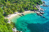 On Hidden Beaches ดำน้ำจากริมหาดเกาะเต่า Deep Inside: เกาะเต่า ดำน้ำตื้น รอบบ่าย