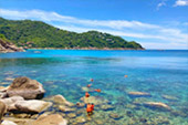 On Hidden Beaches ดำน้ำจากริมหาดเกาะเต่า Deep Inside: เกาะเต่า ดำน้ำตื้น รอบบ่าย