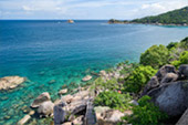 On Hidden Beaches ดำน้ำจากริมหาดเกาะเต่า Deep Inside: เกาะเต่า ดำน้ำตื้น รอบบ่าย