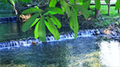 Fresh Trace: เมืองปาย