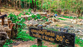 Nature ปาย + แม่ฮ่องสอน
