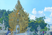เที่ยวเหนือ - ต้องดอยแม่สลอง