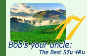 Bob is your uncle: The best
