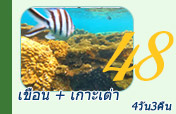 เขื่อน เกาะเต่า 4 วัน 3 คืน เขื่อน เกาะเต่า 4 วัน 3 คืน