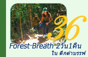 Forest Breath 2วัน1คืน Forest Breath 2วัน1คืน