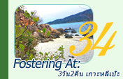 Fostering At: เกาะหลีเป๊ะ 3วัน2คืน Fostering At: เกาะหลีเป๊ะ 3วัน2คืน