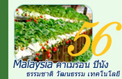 Malaysia: ธรรมชาติ วัฒนธรรม เทคโนโลยี 4วัน Malaysia: ธรรมชาติ วัฒนธรรม เทคโนโลยี 4วัน