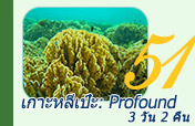 เกาะหลีเป๊ะ: Profound เกาะหลีเป๊ะ: Profound