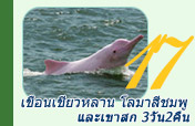 เขื่อนเชี่ยวหลาน โลมาสีชมพู และเขาสก เขื่อนเชี่ยวหลาน โลมาสีชมพู และเขาสก