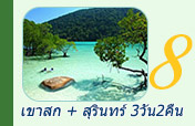 เขาสกสุรินทร์3วัน2คืน เขาสกสุรินทร์3วัน2คืน
