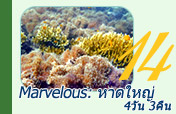 Marvelous: หาดใหญ่ 4วัน3คืน Marvelous: หาดใหญ่ 4วัน3คืน