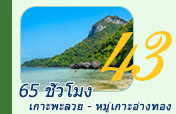 65 ชั่วโมง เกาะพะลวย - หมู่เกาะอ่างทอง 3วัน2คืน 65 ชั่วโมง เกาะพะลวย - หมู่เกาะอ่างทอง 3วัน2คืน