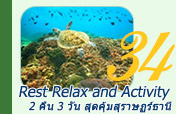 3วัน2คืน เที่ยวครบทุก Highlights เมืองสุราษฏร์ธานี 3วัน2คืน เที่ยวครบทุก Highlights เมืองสุราษฏร์ธานี