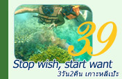 Stop wish, start want เกาะหลีเป๊ะ Stop wish, start want เกาะหลีเป๊ะ