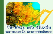 The Ring: ตรัง 3วัน2คืน The Ring: ตรัง 3วัน2คืน