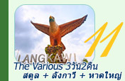 The Various สตูล ลังกาวี หาดใหญ่ The Various สตูล ลังกาวี หาดใหญ่