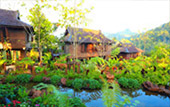Cool Experience: ม่อนแจ่ม เชียงใหม่