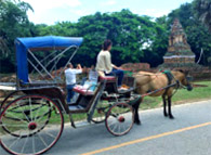 Original เชียงใหม่ เชียงราย