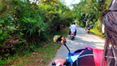 The Best On Low ระนอง เกาะพยาม ชุมพร