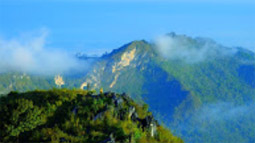 Phu-Land 2วัน1คืน ภูชี้ฟ้า เชียงแสน