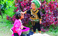 Sakura Doi: อินทนนท์และขุนวาง...