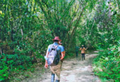 Forest Breath: ใน ดึกดำบรรพ์