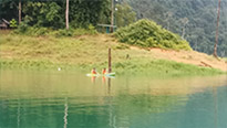 Forest Breath: ใน ดึกดำบรรพ์