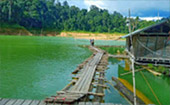 Forest Breath: ใน ดึกดำบรรพ์