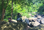Nature Plays:สุราษฯ เขาสก 2วัน1คืน