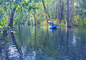 Nature Plays:สุราษฯ เขาสก 2วัน1คืน