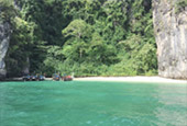 The Link: ตรัง กระบี่ เชี่ยวหลาน 4 วัน 3 จังหวัด
