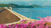 The Link: ตรัง กระบี่ เชี่ยวหลาน 4 วัน 3 จังหวัด